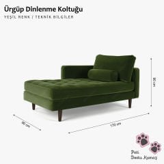 Ürgüp Rahat Dinlenme Koltuğu Terapi ve Josephine Koltuk Pati Dostu Kumaş Sağ Köşe